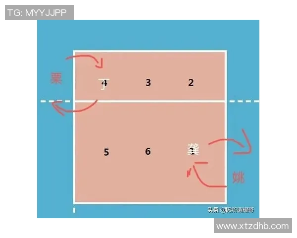 成都排球队战术解析与对比深度剖析球队表现与战略布局
