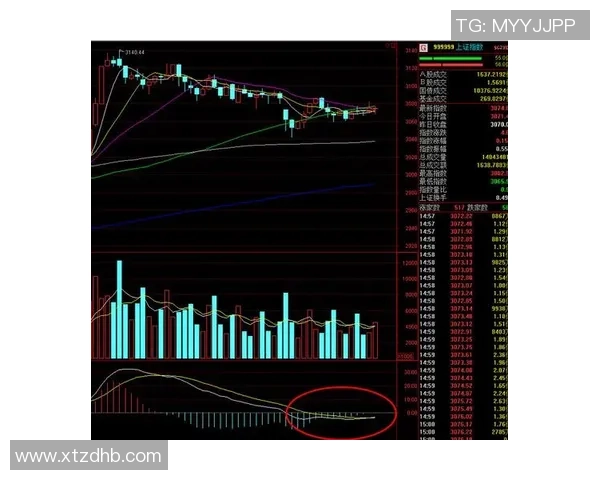杭州排球队与成都排球队赛后复盘分析比赛节奏与战术对比