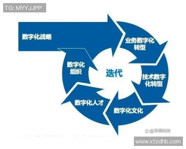 武汉乒乓球队的转型之路与成绩波动分析 武汉乒乓球队的转型之路与成绩波动分析