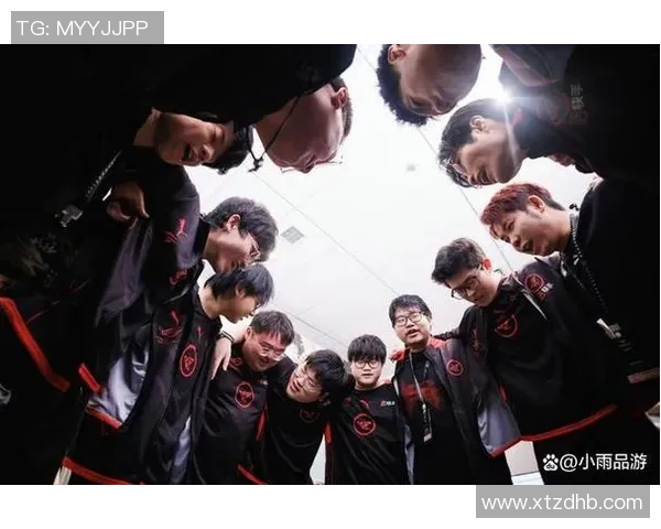 王者荣耀战术新解析TOP10WE战队表现抢眼引领潮流