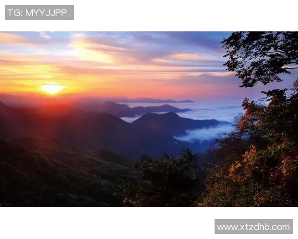 吴丽的攀岩人生：在高峰与深渊之间的深度对话与心灵探索